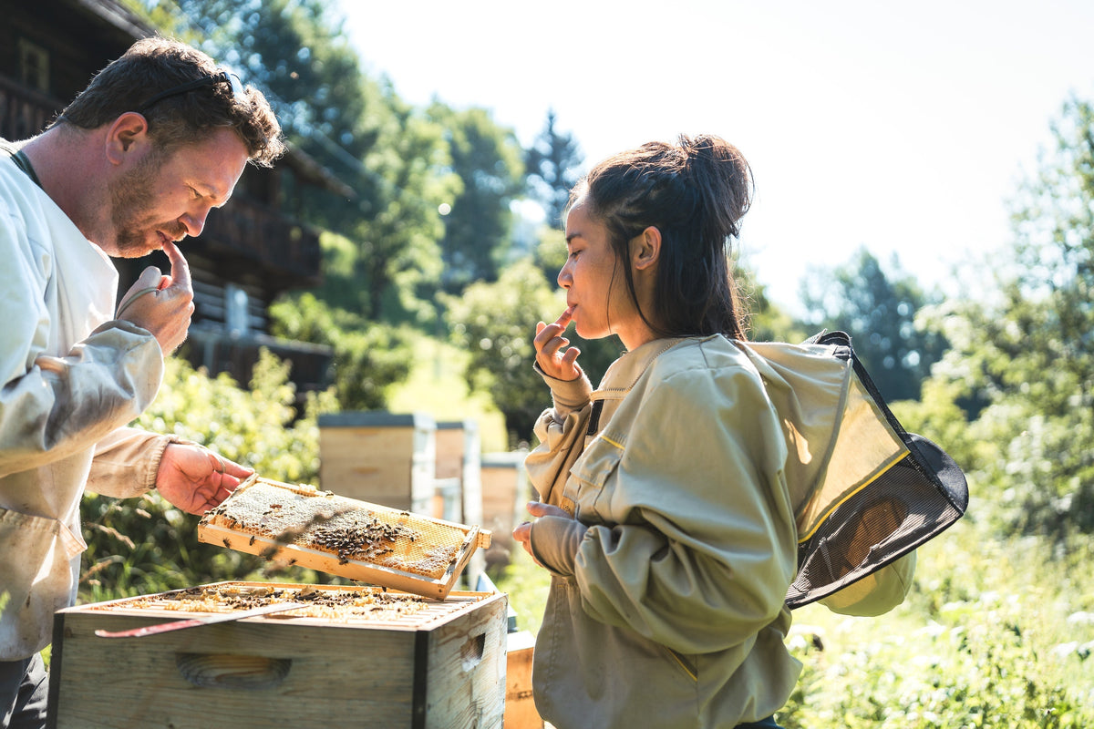 Handwerkliche Presshonig-Gewinnung: Goldener Bio-Presshonig läuft frisch  gepresst aus Naturwaben – kalt, ungefiltert, direkt vom Imker aus dem  UNESCO Biosphärenpark Nockberge. Mitterer & Müller | Feine BioHonige