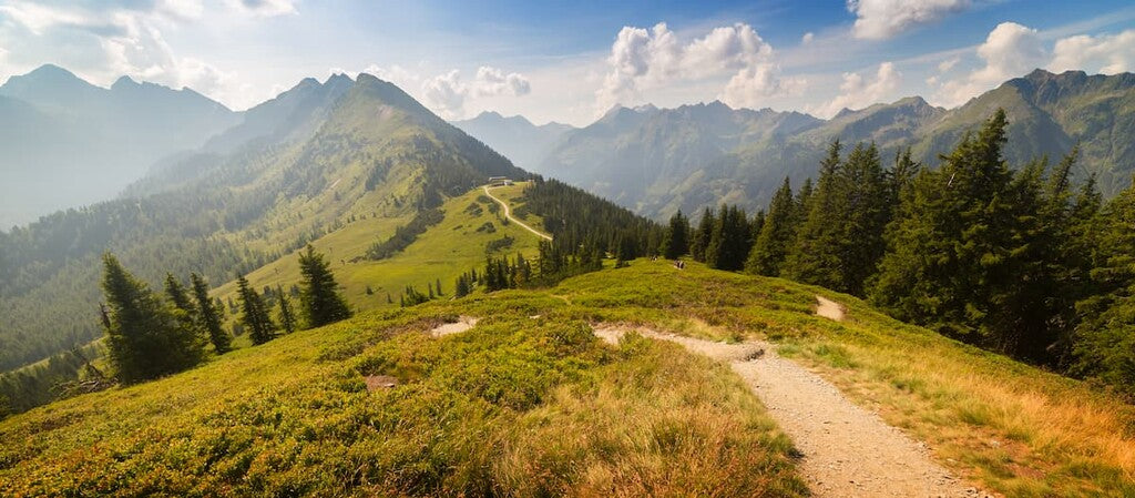 Bio-Honig aus den Alpen – warum er so besonders ist