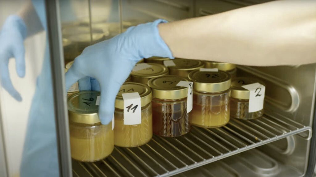 Gefälschter Honig in Europa – Warum echter Bio-Presshonig aus unserer Imkerei die bessere Wahl ist