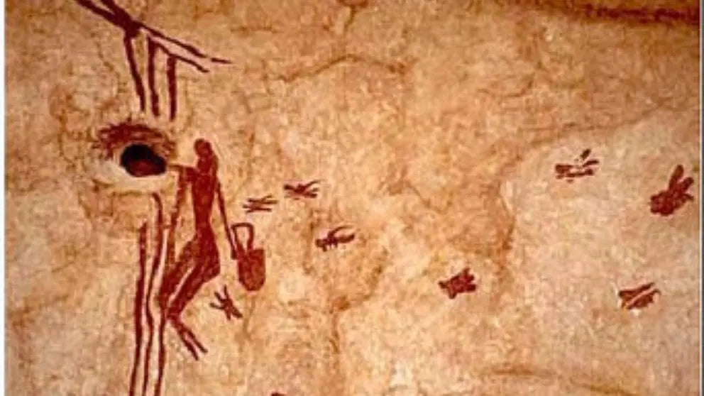 Tradition und Geschichte des Presshonigs – Ein Blick in die Vergangenheit - Mitterer & Müller | Feine BioHonige