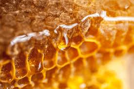 Was ist Presshonig? – Die ursprüngliche Art der Honiggewinnung