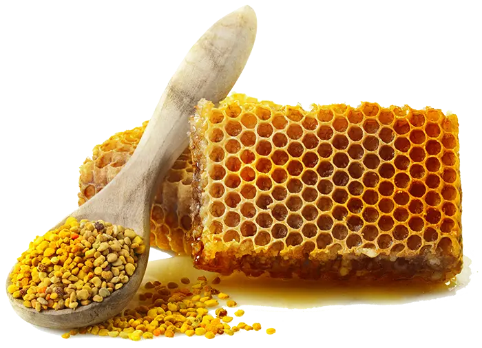 Bio Presshonig als natürliches Superfood