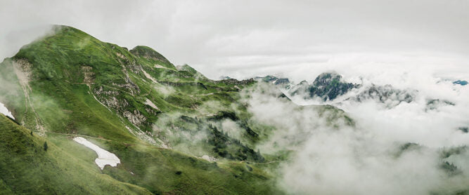 Presshonig und Nachhaltigkeit – Warum bewusster Konsum wichtig ist