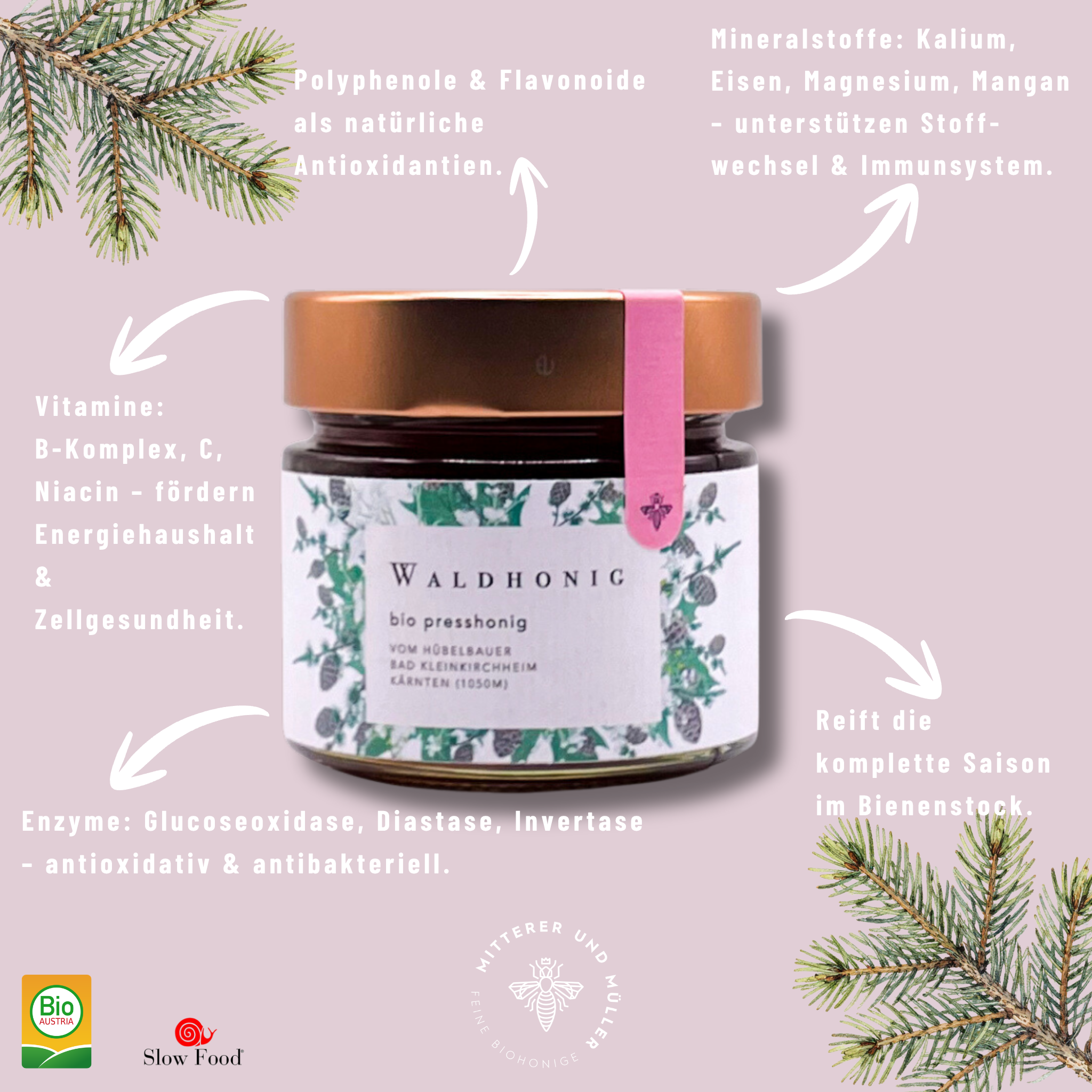 Bio-Presshonig Waldhonig – Rohhonig kaltgepresst