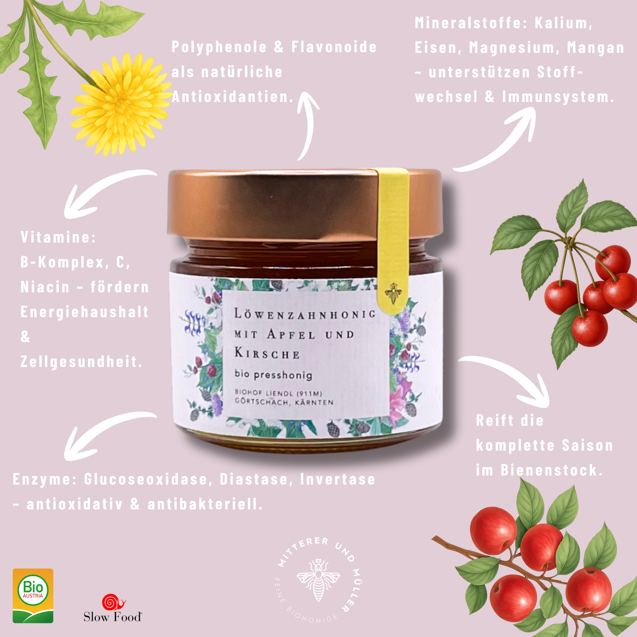 Bio-Presshonig Löwenzahn, Apfel & Kirsche – Rohhonig kaltgepresst