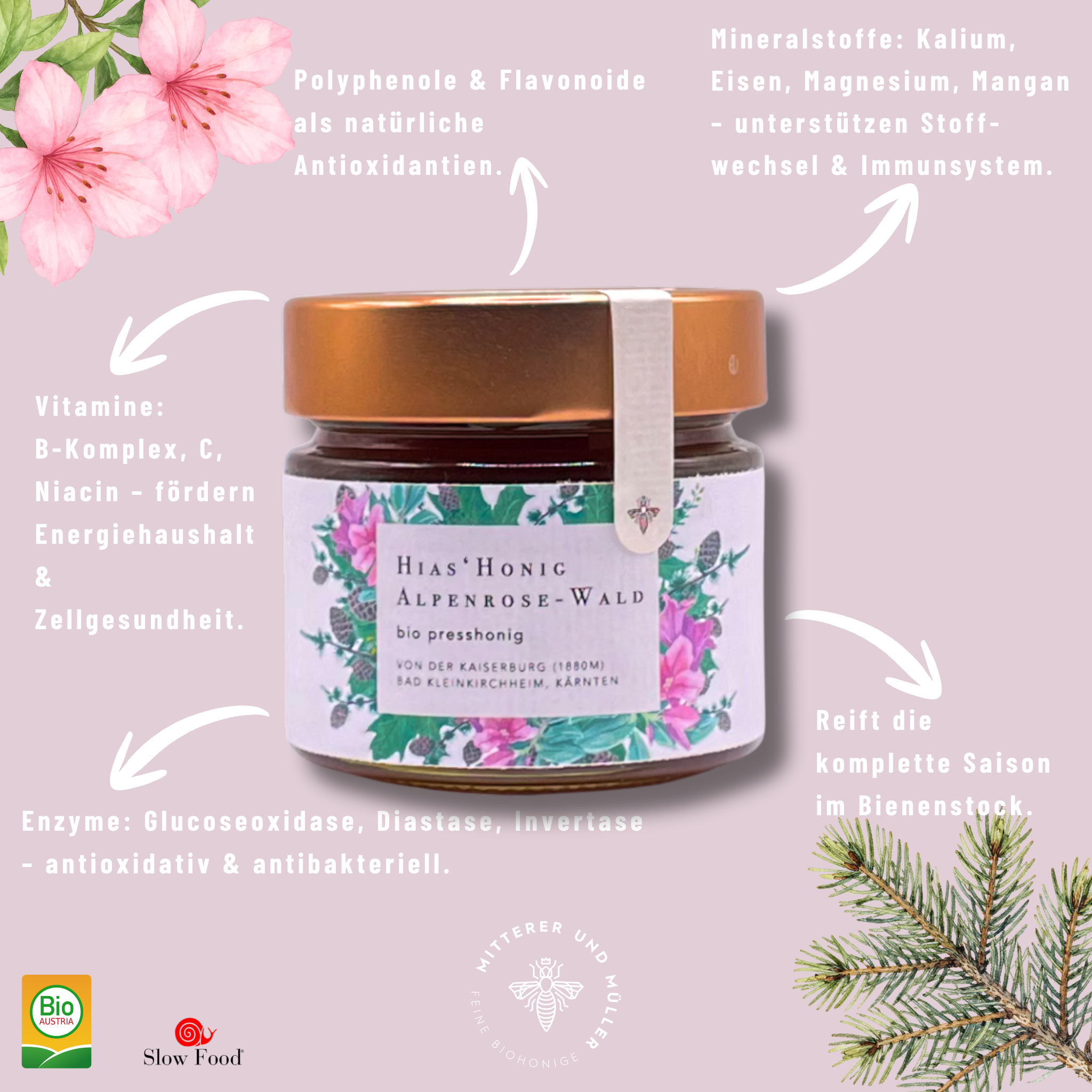 Bio-Presshonig Alpenrose & Wald – Rohhonig kaltgepresst