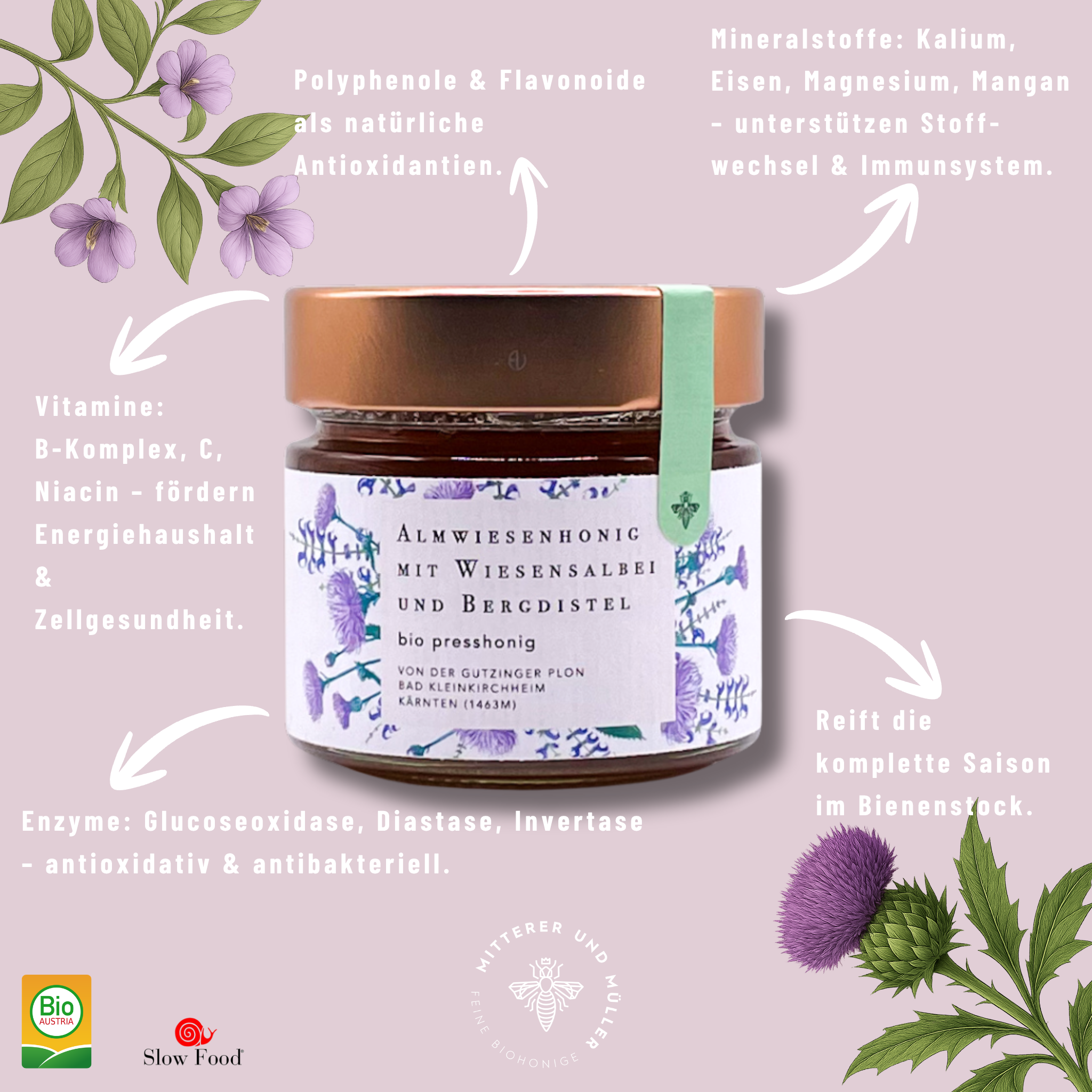 Bio-Presshonig Wiesensalbei & Bergdistel – Rohhonig kaltgepresst