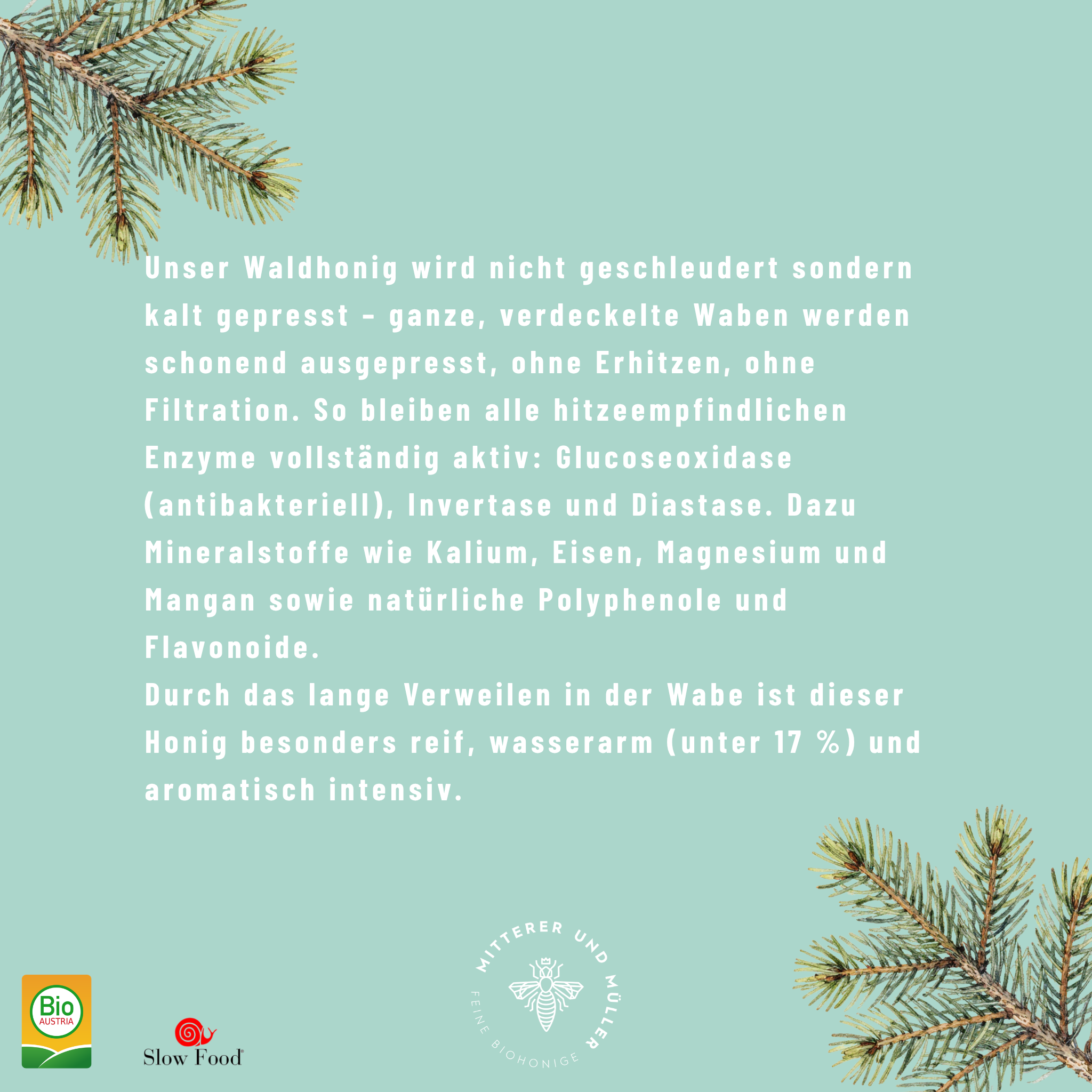 Bio-Presshonig Waldhonig – Rohhonig kaltgepresst