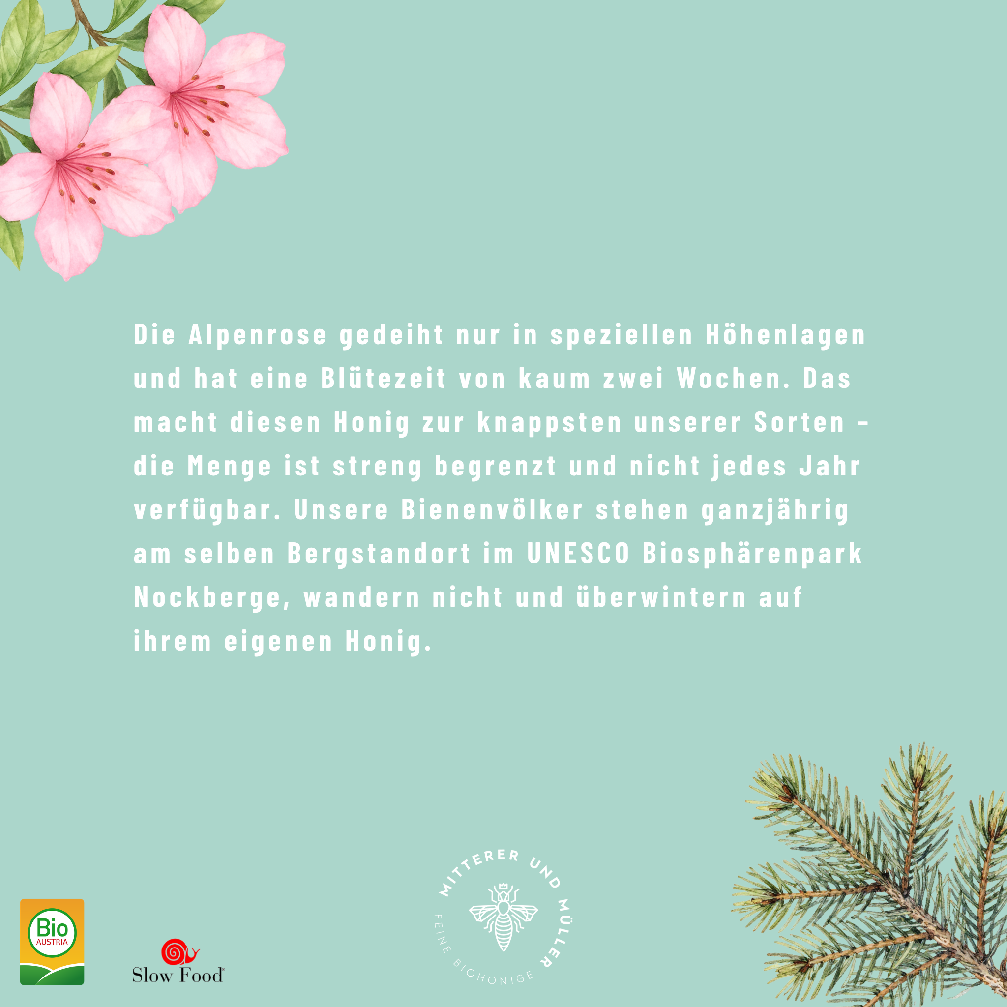 Bio-Presshonig Alpenrose & Wald – Rohhonig kaltgepresst