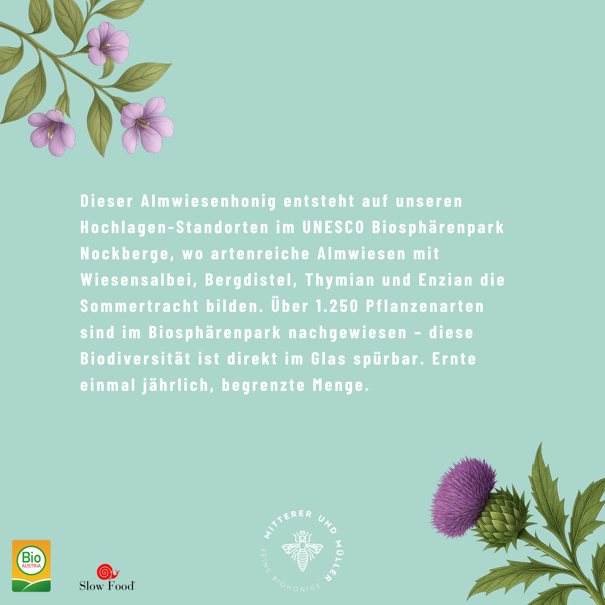 Bio-Presshonig Wiesensalbei & Bergdistel – Rohhonig kaltgepresst
