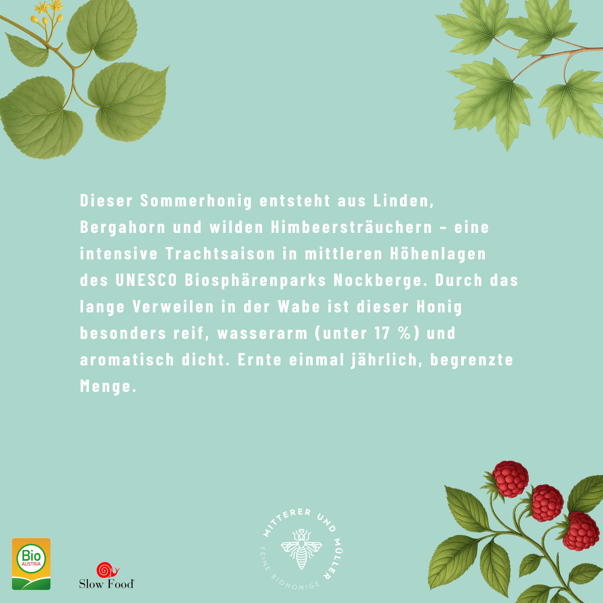 Bio-Presshonig Linde, Ahorn & Wildhimbeere – Rohhonig kaltgepresst